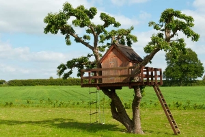 Welche Größe und Welche Höhe sollte ein Baumhaus haben ?